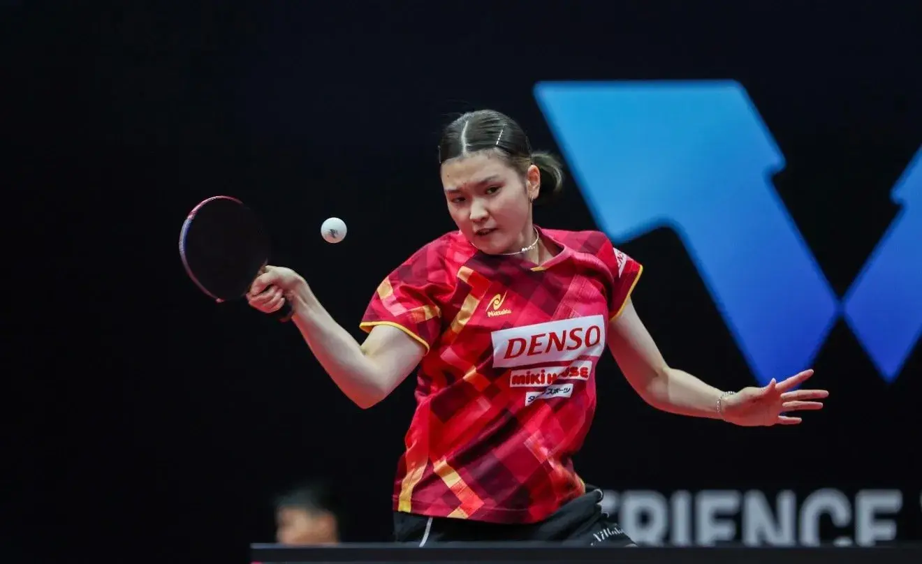 多回球反应, 有交过手 多回球反应, 有交过手