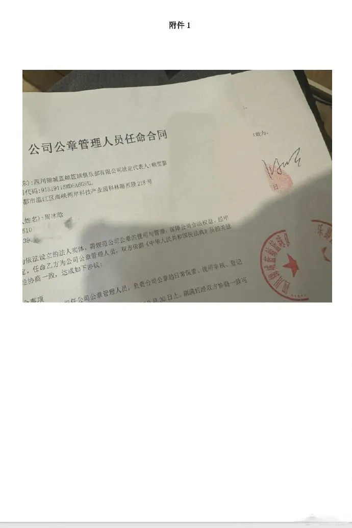 王萨姆纳加